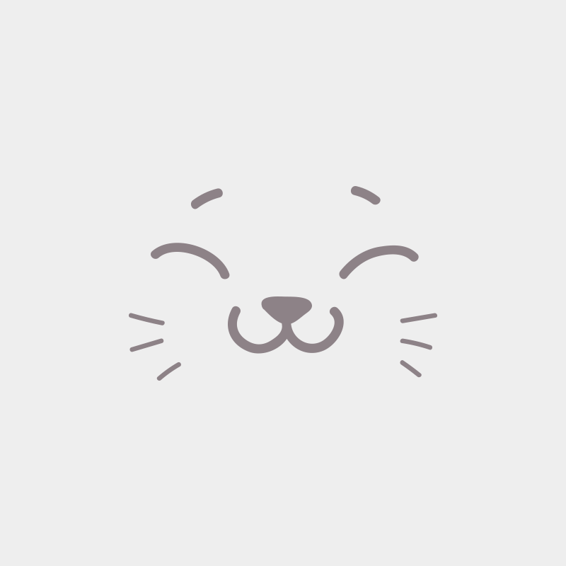 1er chaton (Portée R'Hermione ❤ ELTON 2022) - Femelle black mitted Femelle Ragdoll